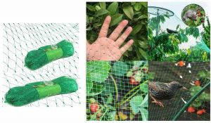 6X Garden Netting Net Protection Anti Bird Veg Fruit Plant Pond Water 2 X 10M
